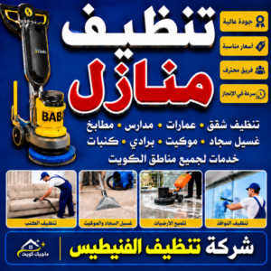 شركة تنظيف الفنيطيس 
