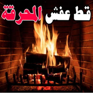 قط عفش المحرقه